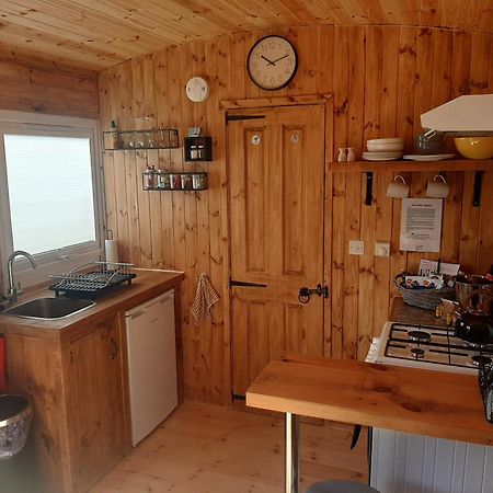Anglesey New Modern Shepherds Hut With Spa Hot Tub Gwalchmai Exteriér fotografie