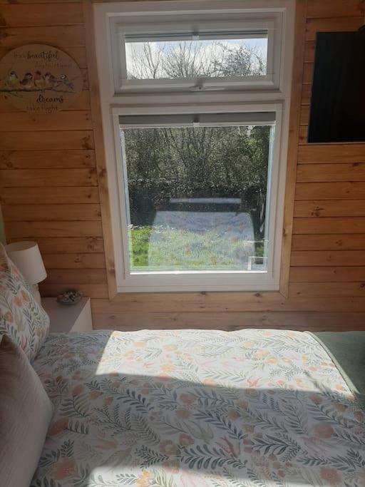 Anglesey New Modern Shepherds Hut With Spa Hot Tub Gwalchmai Exteriér fotografie